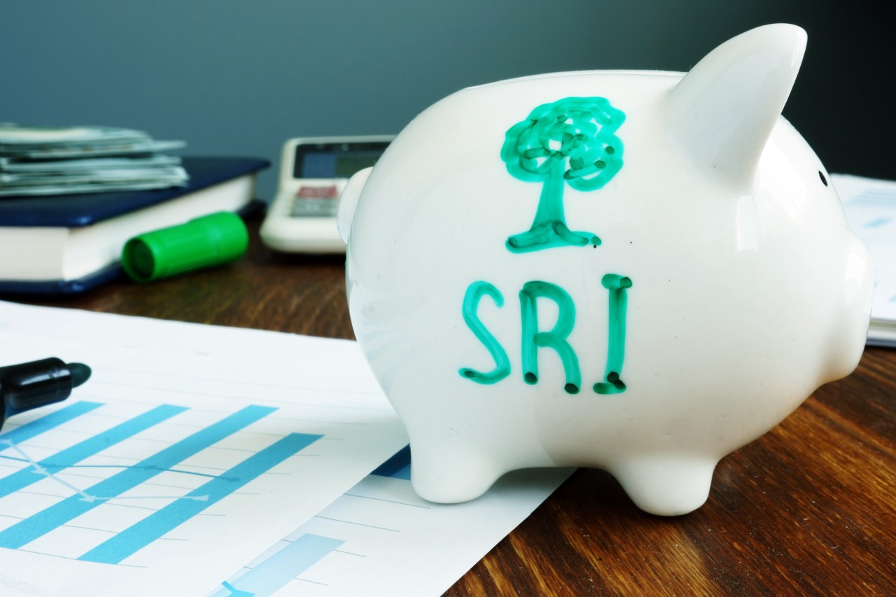 SRI Piggy Bank